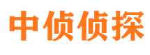 宜川市侦探调查公司